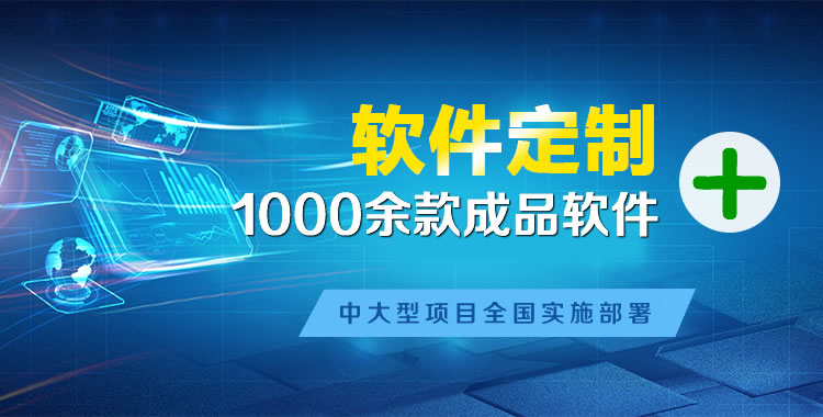 渭城软件开发